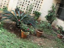 KV_PICKET_GARDEN_2